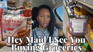 Making Grocery Shopping Exciting with ALDI Finds| ALDI Grocery Haul Vlog