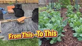 From Grass to Garden | Turning a City Backyard Into a Productive Homestead