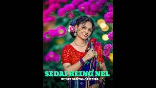 Seday Re Nel Leg Me 2.0// Ai Santhali Cover Song // Old is Gold // New santhali song //#santhalisong