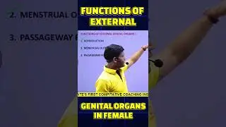 Functions of External Genital Organs in Female @aaravmedicalacademy #nursing #external #shotrs