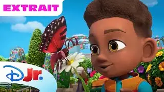 Spidey et ses amis extraordinaires - Extrait : Protéger les papillons
