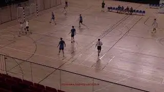 CISOWIANKA DRZEWCE - LAW DĘBLIN