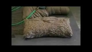 PetPeePee Service, Removing strong CAT urine odor from inside Pillow.