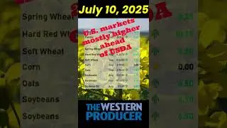 July 10, 2025, Closing grain and oilseed market update.