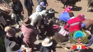 LEULICHA PRODUCCIONES  - HERRANZA EN MI TIERRA LUCANAMARCA 2022