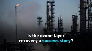 Is the ozone layer recovery a success story?
