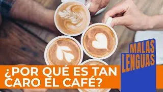 El precio del café sigue subiendo, ¿por qué? | Malas lenguas