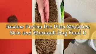 Review Purina Pro Plan Sensitive Skin and Stomach Dog Food Dry, Adult Salmon & Rice Formula, Digesti