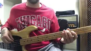 Pearl Jam - Soldier of Love - bass cover
