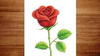 How to Draw a Rose | Flower Drawing Easy | Rose day Especial Drawing | Easy and Beautiful Drawing