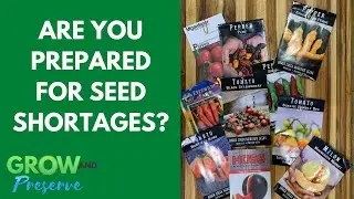 Are You Prepared for Seed Shortages in 2023?