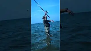 Рыбалка на кефаль #fishing