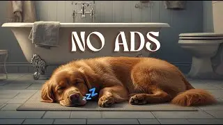 Relaxing Music for Dogs Sleeping in the Bathroom | Cool & Comfortable
