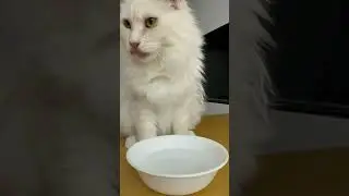 Katy drinking the good water