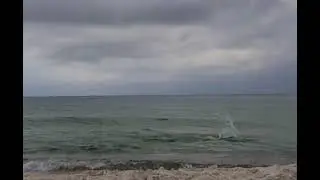 Amazing being able to swim fly in the ocean