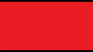 Highlights 11