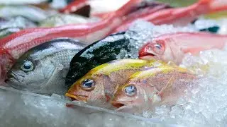 Fresh vs. Frozen Fish: 3 Tips for Buying Seafood
