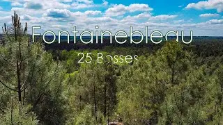 Fontainebleau, Les 25 bosses, Vues du Ciel. Drone Cinematic