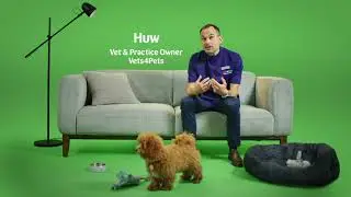 Pets at Home - How to toilet train your puppy & kitten