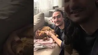 Kedi Tanıtım Videosu
