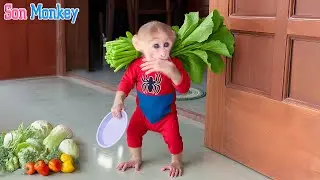 Let’s See What the Baby Monkey Did to Make His Dad So Surprised !  - Son Monkey