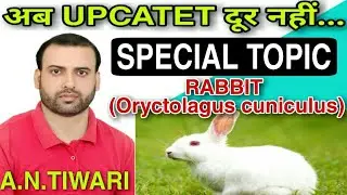 15 CHAPTERWISE BIOLOGY EXPECTED QUESTIONS/ FOR UPCATET 2020 WITH COMPLETE ANALYSIS || BHU 2020