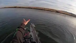 Рыбалка на полосатой форебее О'Нила. Часть 2 [Эпический день???]