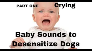 Baby Crying Sounds For Desensitizing Dogs