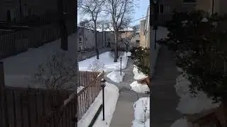Sunlight Touching Fresh Snow ❄️☀️ | Winter Calm | The Quiet After the Snowfall ❄️✨