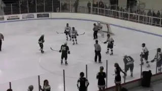 hockeyroseau
