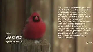 God is Red Excerpt from book by Vine Deloris, Jr. Healthy Mind Body Spirit Annette Feravich, PhD