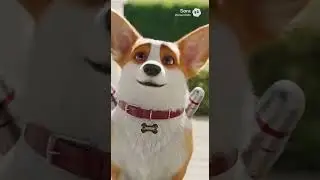 Crazy dog knocks on door and flys away??