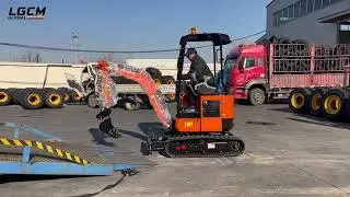 Mini Excavator Loading & Container Shipping