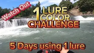 Zman On the MOVE | Best of summer | 5days 1 Lure CHALLENGE | 0424E17