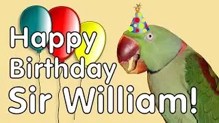 Parrot's 21st Birthday! Sir William Opens Gifts!