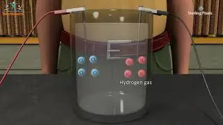 Hiện tượng điện phân