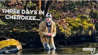Three Days in Cherokee | Winter Fly Fishing