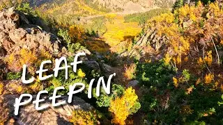 Leaf Peepin | Cinematic FPV | Mountain Surfing