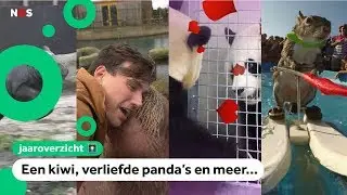 Dit is het dierennieuws uit 2018