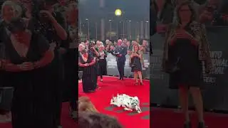 The real star of the show! #tiff #redcarpet #dog #toronto