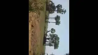 Kakinada Fast Growing development smart city in India, best real investment in kakinada smart city