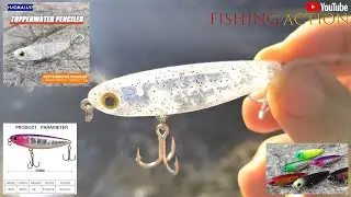 HAIMALUO model 9016 YR-S214-AL1122 TopWater Pencil 60 show & test