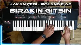 Hakan &Ccedil;ebi - Bırakın gitsin - Roland E-A7