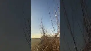 They all missed and the guide made fun of them! #goose #hunting #fail #goosehunting