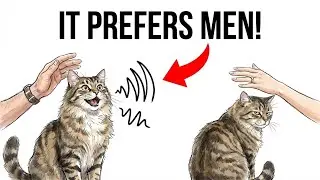 Why Your Cat Talks More to Men Than Women