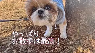 第５１話大きな池の公園にお散歩行くよ。