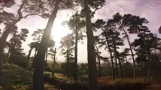 Nescliffe hill kynaston cave - lost in the wild