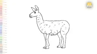 Llama drawings | South American camelid drawing | How to draw Llama step by step | #artjanag