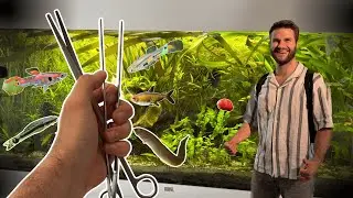 Live Plant Trimming, Cleaning and Fish Feeding Session | Live Aquarium Feeding (Episode 6)