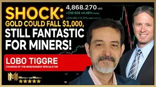 LOBO TIGGRE  | Gold can fall $1000 and it would still be fantastic for the miners!